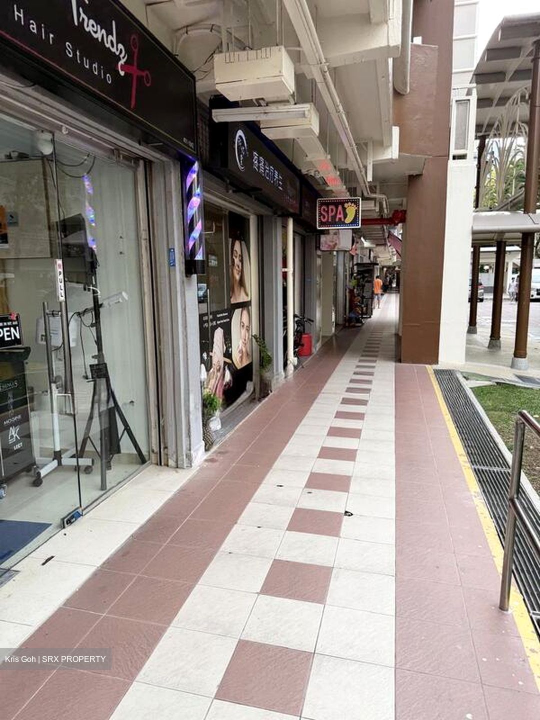 Tiong Bahru Orchid (D3), Shop House #511318341